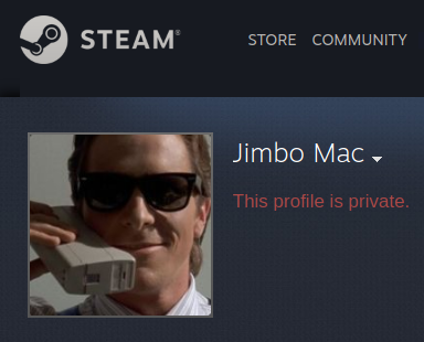 An earlier Steam account owned by "Vic Mackey"