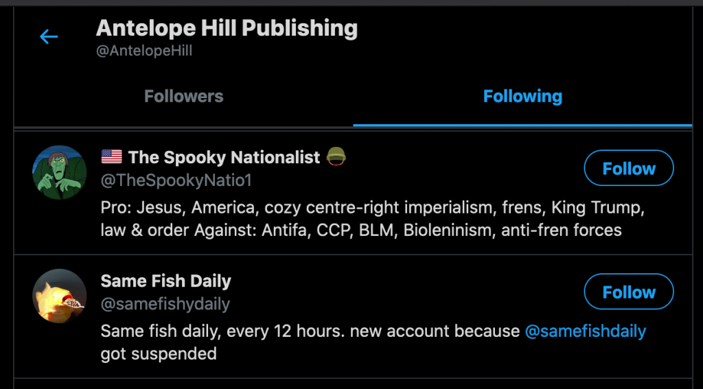 Out of the eighteen generic and public-figure accounts that Antelope Hill Publishing follows, "The Spooky Nationalist" was the second.