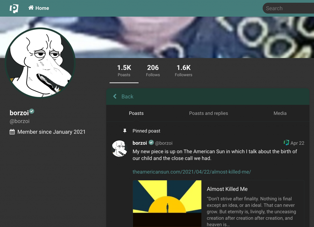 "Borzoi"'s profile on the Nazi-friendly social network poa.st, as it appeared June 2, 2021.