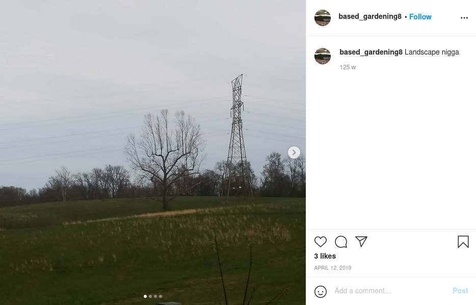 [tree, electric tower] Photo posted on Distler's Instagram page.