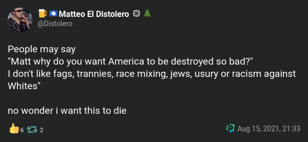 "People may say 'Matt why do you want America to be destroyed so bad?' I don't like fags, trannies, race mixing, jews, usury or racism against Whites' no wonder i want this to die"