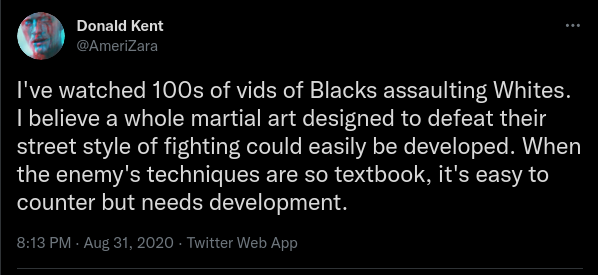 Tweet: "I've watched 100s of vids of Blacks assaulting Whites. I believe a whole martial art designed to defeat their street style of fighting could easily be developed. When the enemy's techniques are so textbook, it's easy to counter but needs development."