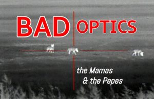 Accompanying artwork for the song "Bad Optics."