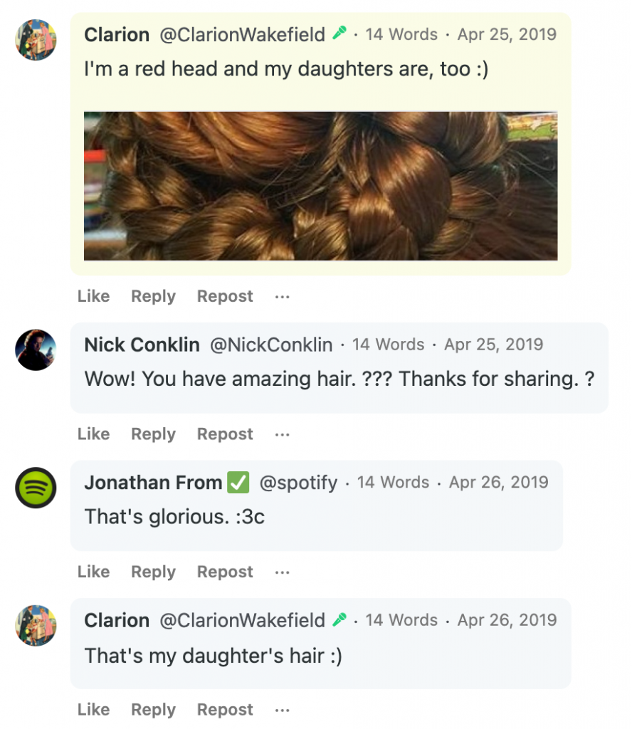 A post from Amy Wainwright's account at the right-ring social media site Gab picturing her daughter's hair.