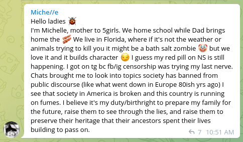 Mother of five from Florida "Miche//e" is a member of the Avalon Rising chat.
