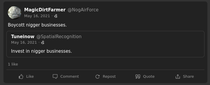 A post on Gab by "Magic Dirt Farmer": "Boycott n_gger businesses."