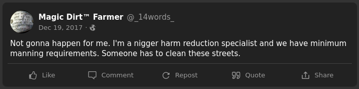 "I'm a n_gger harm reduction specialist...Someone has to clean these streets."