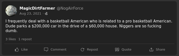Gab quote: "I frequently deal with a basketball American who is related to a pro basketball American. Dude parks a $200,000 car in the drive of a $60,000 house. Niggers are so fucking dumb."