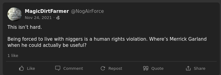 "Being forced to live with n_ggers is a human rights violation."