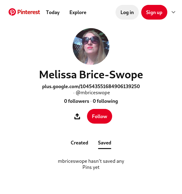 Melissa Brice-Swope's Pinterest profile.