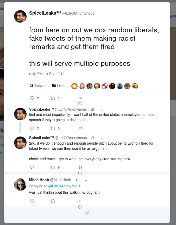 "Spicci" stating more specifically plans to dox "random liberals." Note "Mitch Hoob" in the replies, who we exposed as Michael Newidomy in a previous report. 