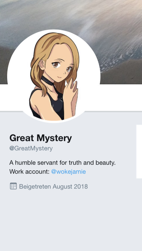 Brice-Swope used the handle "@GreatMystery" on Twitter. This was her profile bio before this account got suspended.