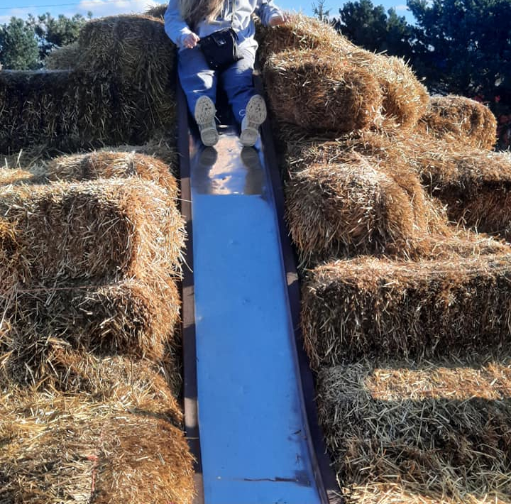 Just as "Mrs. Saxon" described, there is a pumpkin farm in Upper Sandusky with a tall slide.
